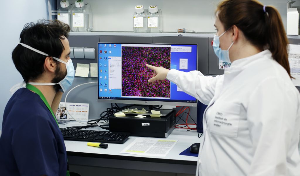 laboratorio genetica